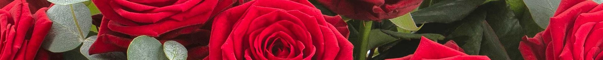 Billede af en buket røde roser med grønne blade. Roserne er i fuld blomst, og deres dybe røde farve dominerer kompositionen. Bladene tilføjer et friskt, grønt element til den samlede præsensation.